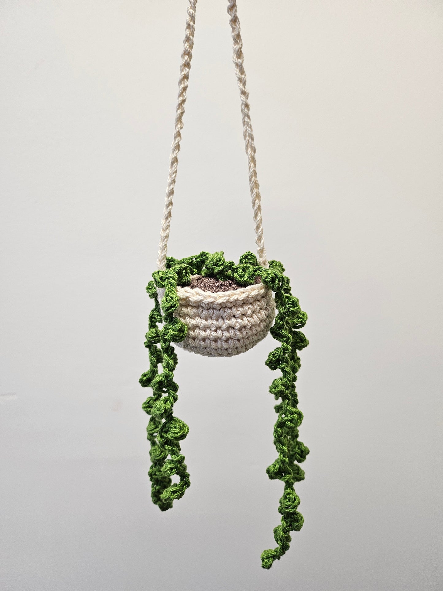 Hanging Pearl Plant