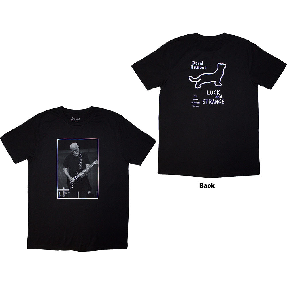 David Gilmour Luck & Strange Black Cat Strat
