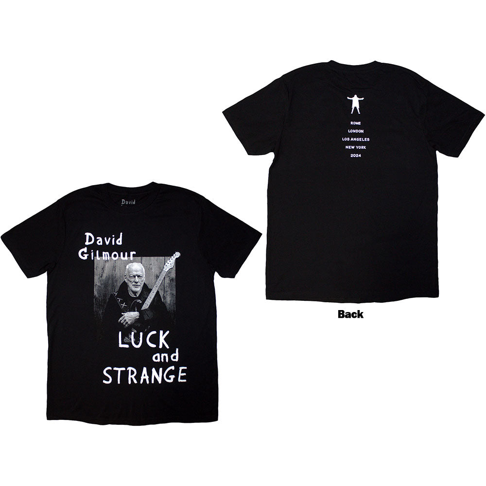 David Gilmour Luck & Strange Portrait