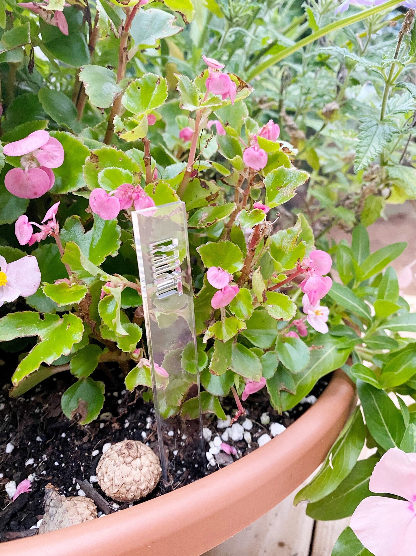 Acrylic Plant Markers Set