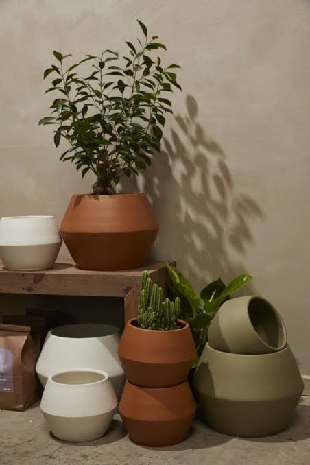 Hydra Pot 10”
