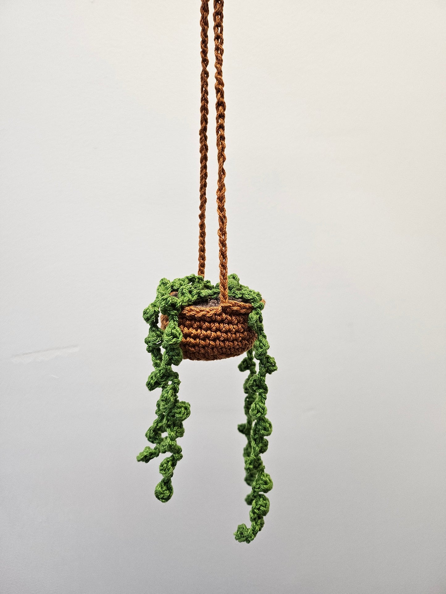 Hanging Pearl Plant