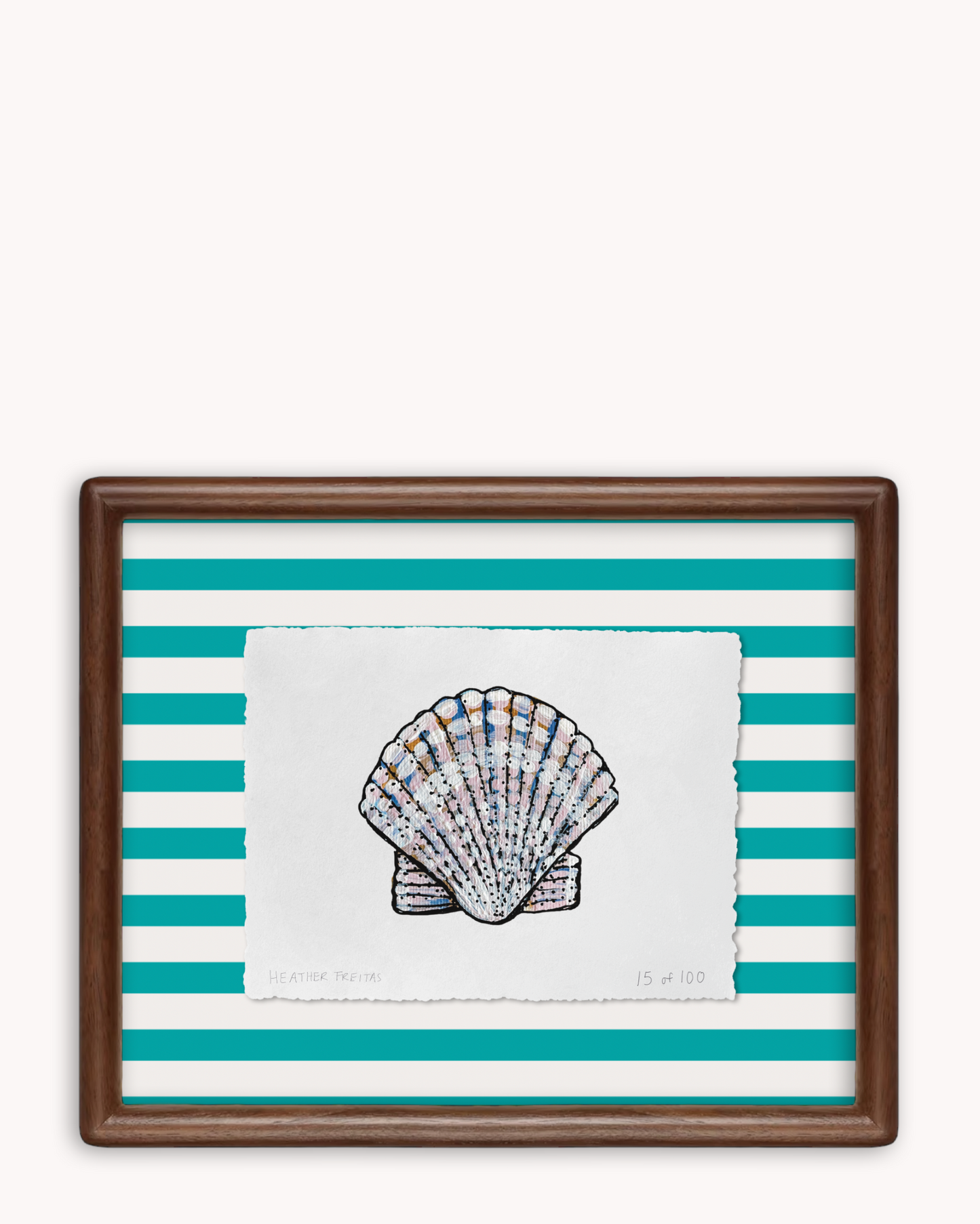 Shell Limited Edition Framed Print
