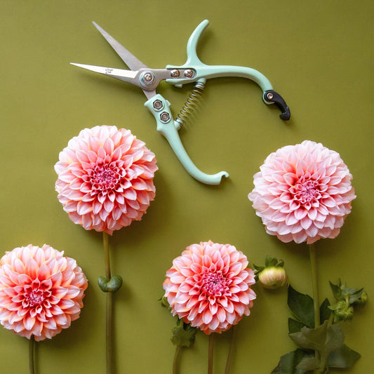 Pruning Shears | Lagoon