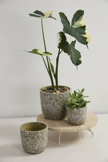 Verde pot