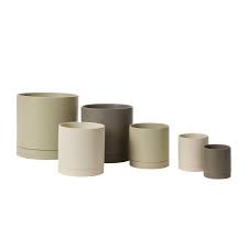 Romey Neutral