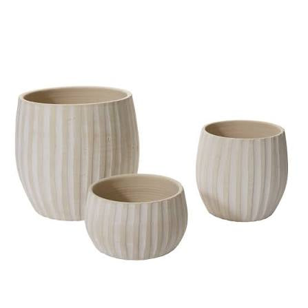 Arid Pot 10”