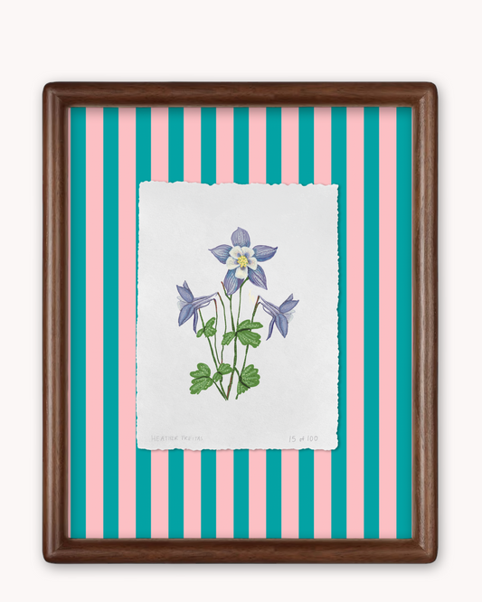 Blue Columbine Limited Edition Framed Print