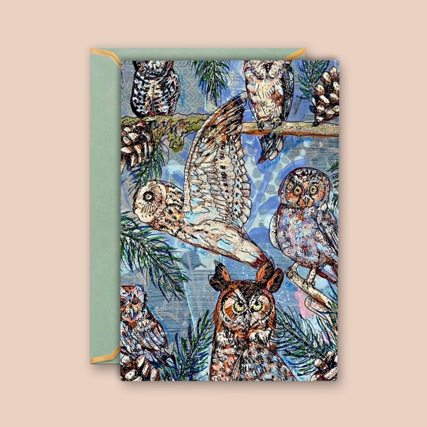 Owl Specimens - Greeting Card / Fine Art Print