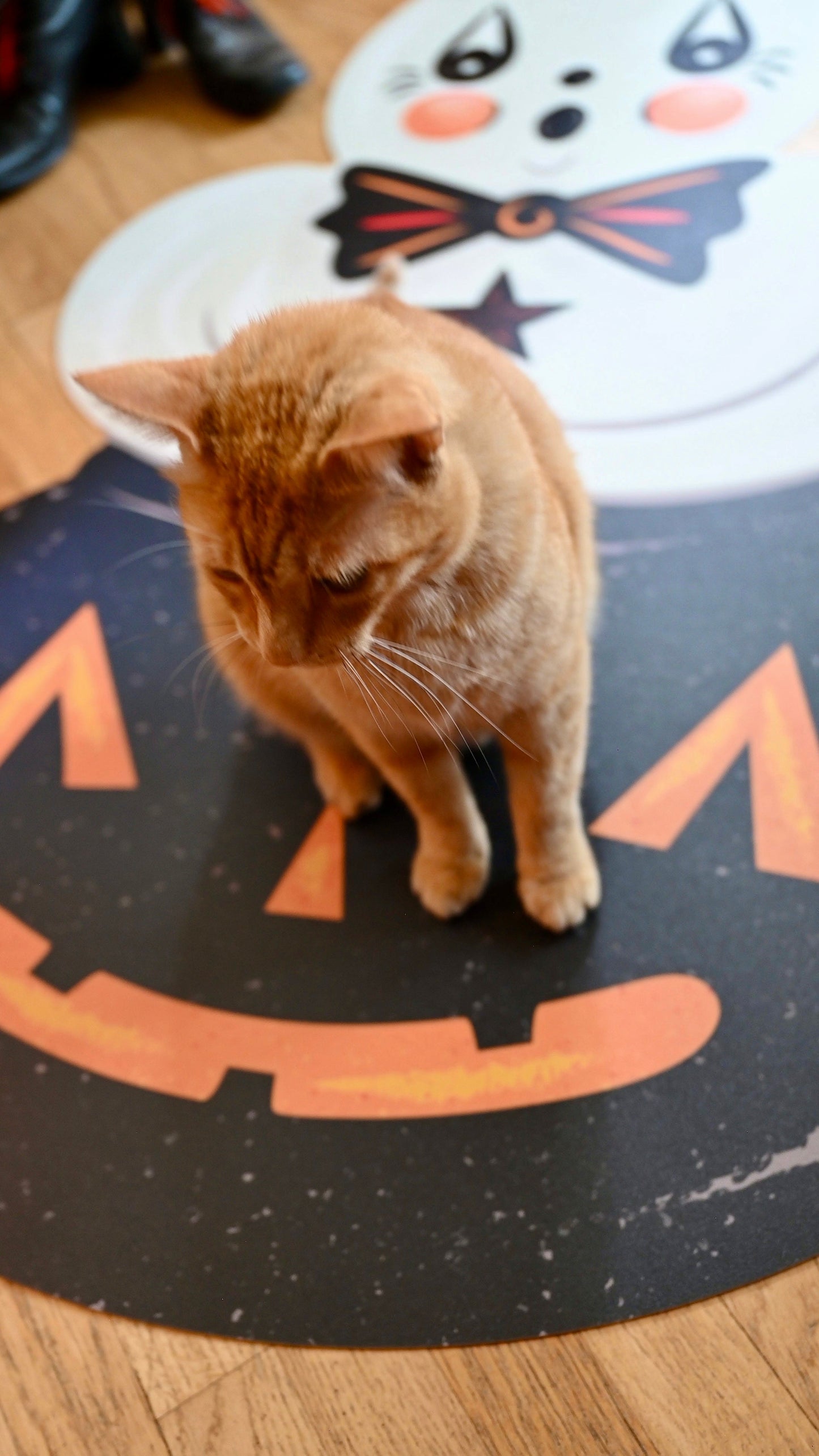 Ghostie in Caudron Die Cut Vinyl 76" Halloween Floor Decor by Johanna Parker