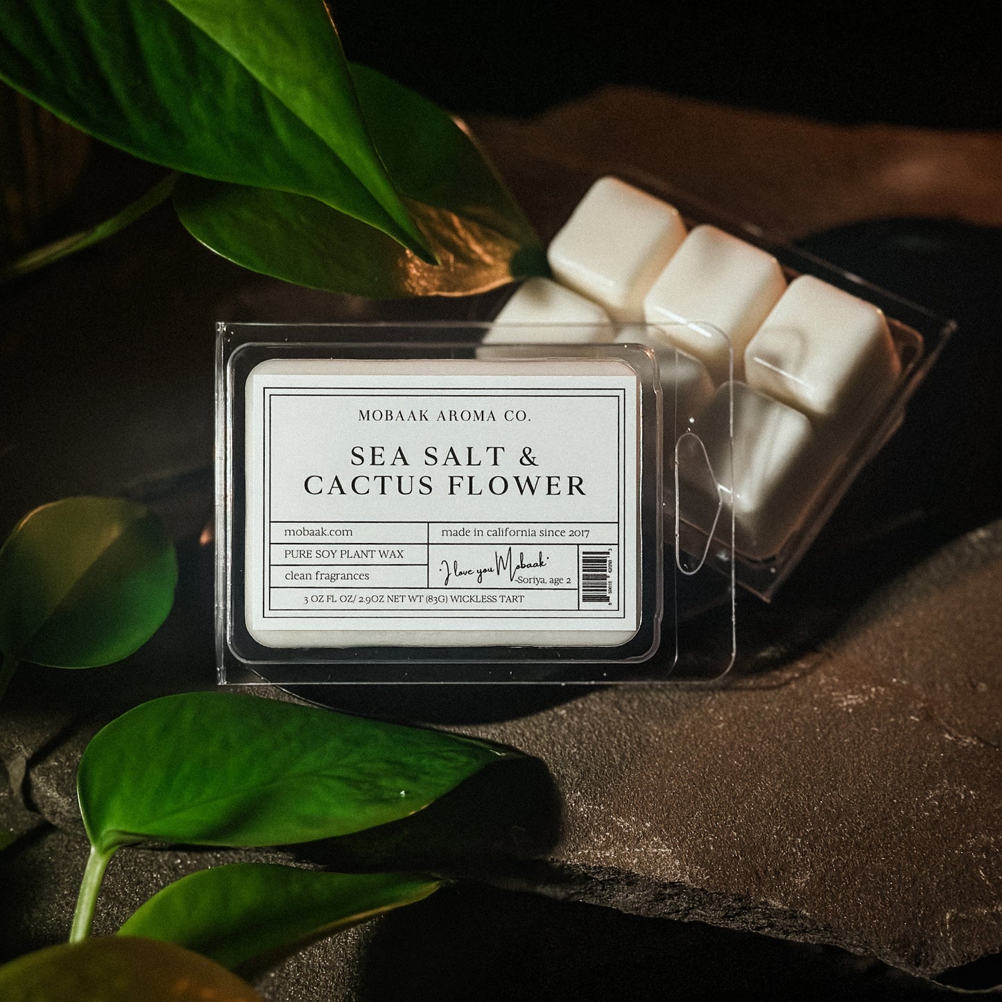Sea Salt & Cactus Flower Wickless Tart