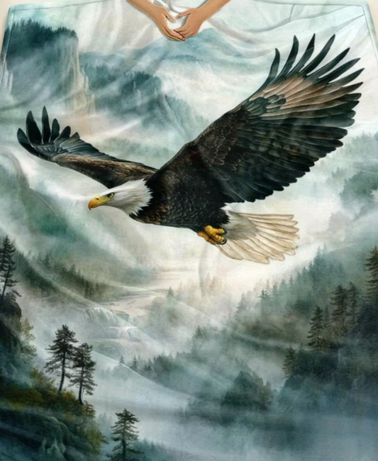 Eagle blankets dragon blanket and lights blanket for Dani