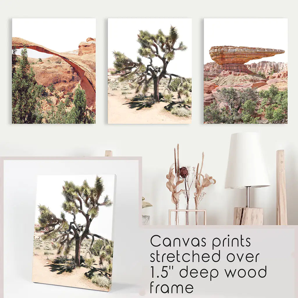 US Desert Wall Art. Arches National Park, Cliff, Joshua Tree