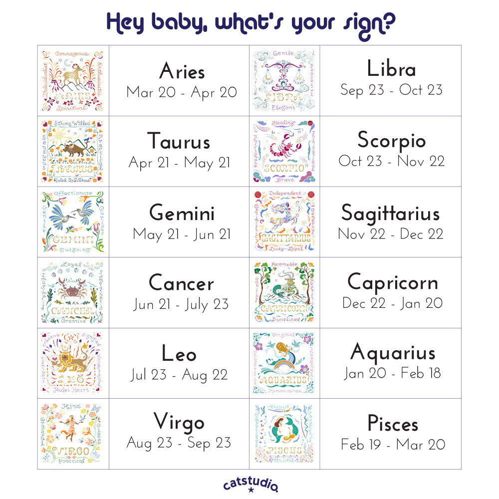 Capricorn Astrology Hand-Embroidered Pillow by Cat Studio