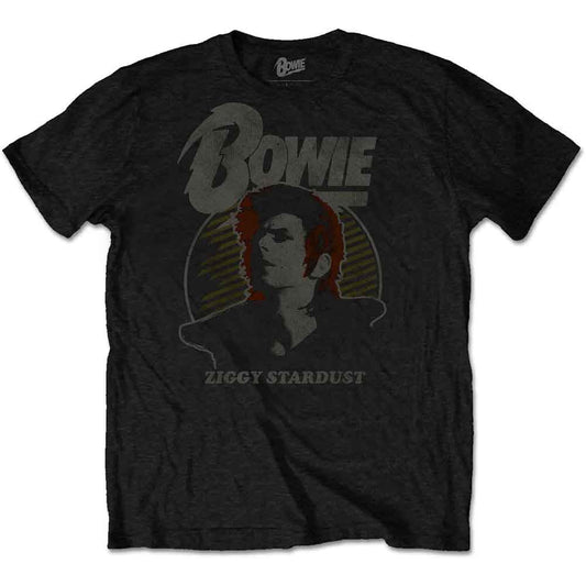 David Bowie Vintage Ziggy [T-Shirt]