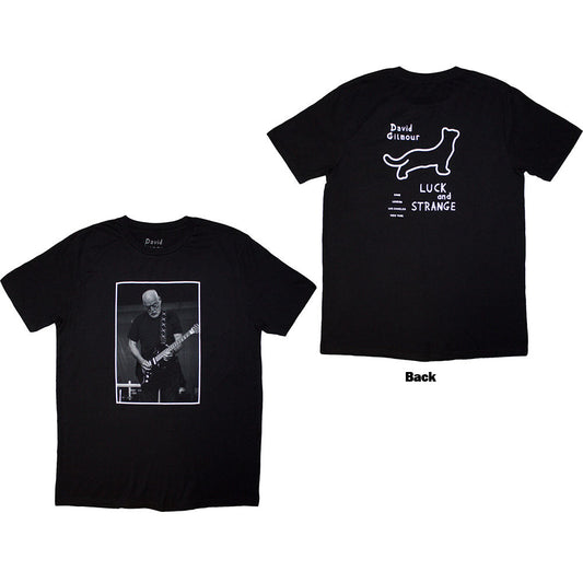 David Gilmour Luck & Strange Black Cat Strat
