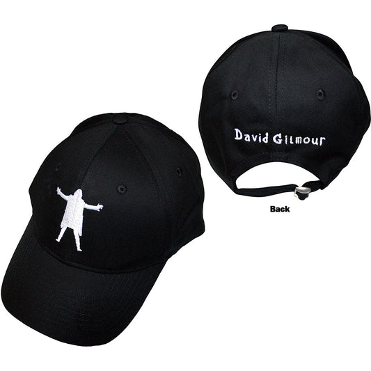 David Gilmour Luck & Strange [Hat]