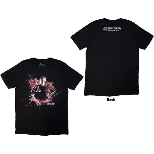 David Gilmour Luck & Strange Brighton [T-Shirt]