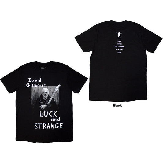 David Gilmour Luck & Strange Portrait