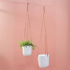 Lelay Hanger 6"