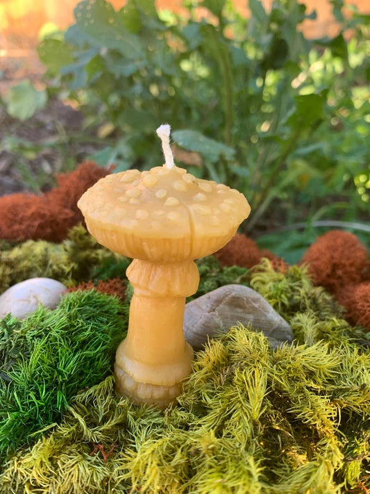 100% Beeswax Candle- Amanita Mushroom