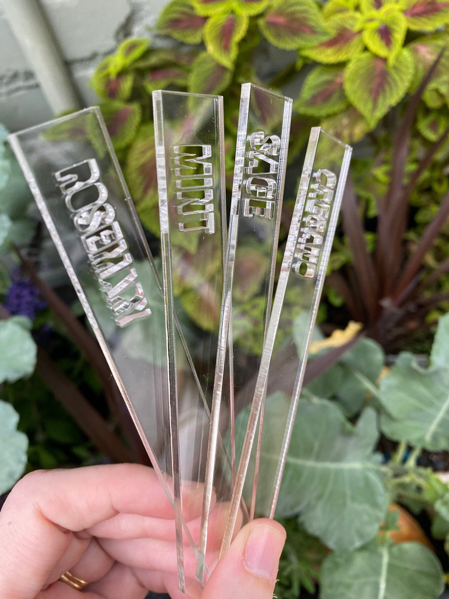 Acrylic Plant Markers Set