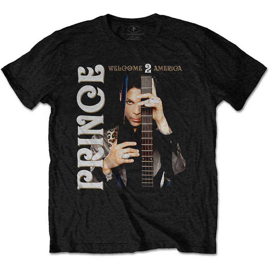 Prince Welcome 2 America []