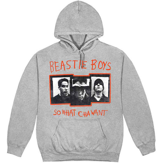 The Beastie Boys So What Cha Want [Sweatshirt]