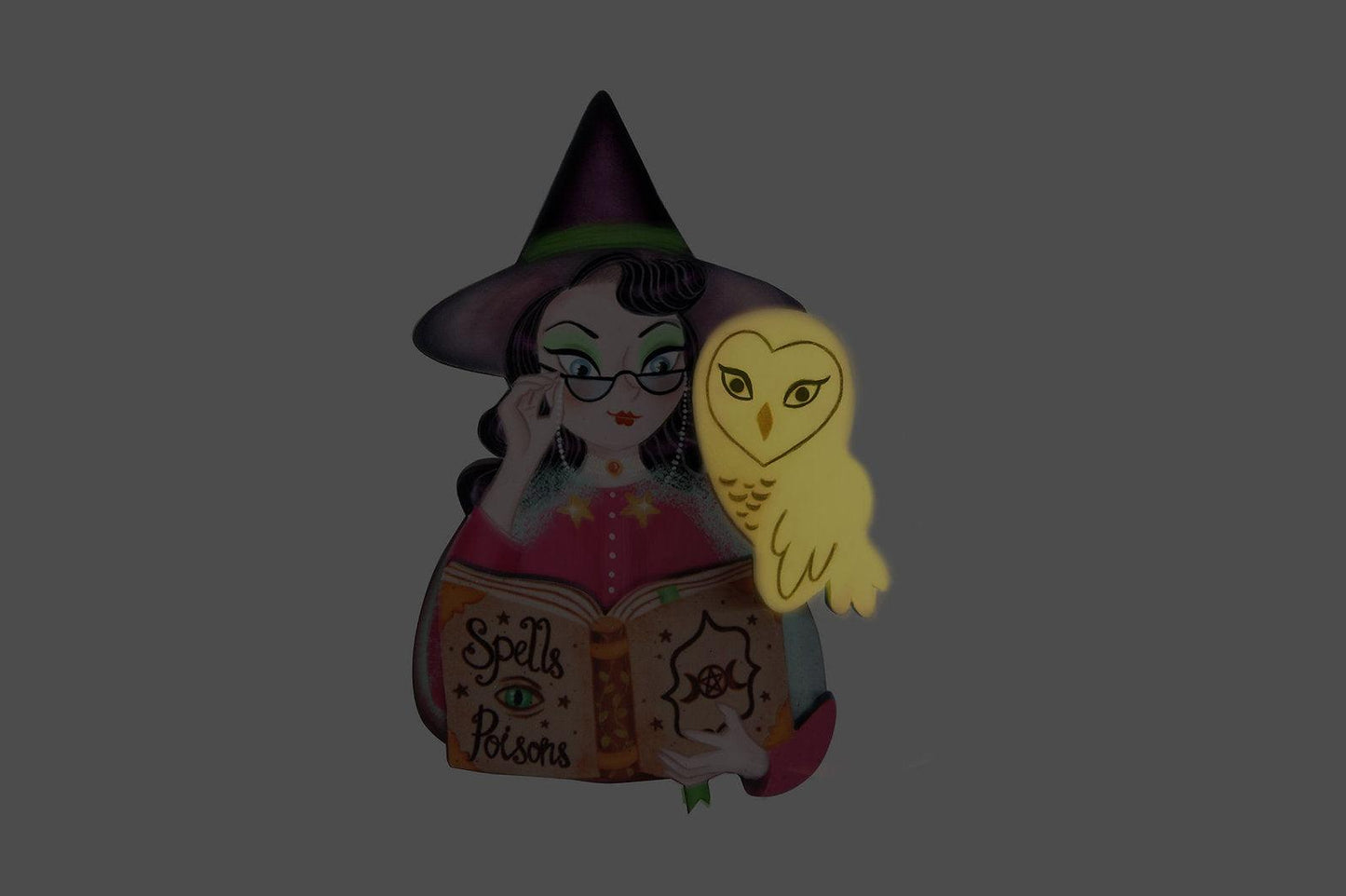 Witch with Owl Halloween Brooch by Laliblue